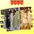 Best & Latest Designer Anarkalis Online