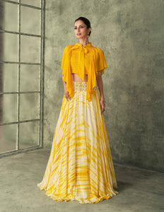 Haldi Party Wear Indo Western Skirt & Top