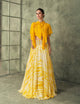 Haldi Party Wear Indo Western Skirt & Top
