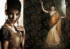 NAK12006 Designer Vikram Phadnis Nakkashi Indian Bridal Party Wear Traditional Saree - Fashion Nation