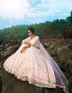 Party Wear AD3601 Designer Pink Net Lucknowi Lehenga for Online Sales by Fashion Nation