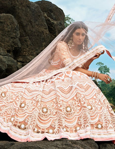 Delicate AD3607 Designer Peach Net Lehenga Choli by Fashion Nation