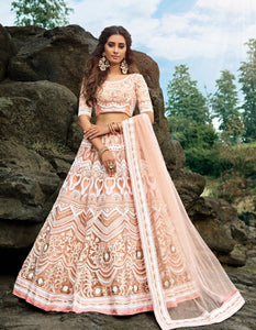 Delicate AD3607 Designer Peach Net Lehenga Choli by Fashion Nation