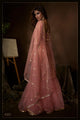 Festival Wear Designer Sharara Suit