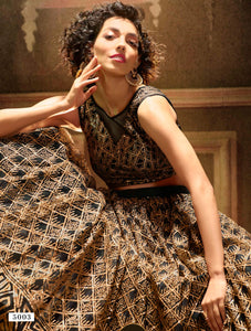 Evening Party Wear Designer Lehenga Choli at Cheapest Prices by Fashion Nation