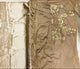 Celebrity Wear KF3720 Bollywood Inspired Coffee Net Silk Saree - Fashion Nation