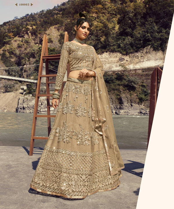 Engagement Wear Designer Lehenga Choli - Fashion Nation