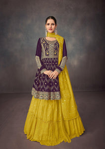 Evening Fusion Wear Designer Skirt Kurti