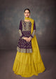 Evening Fusion Wear Designer Skirt Kurti