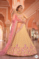 Sangeet Special Designer Lehenga Choli